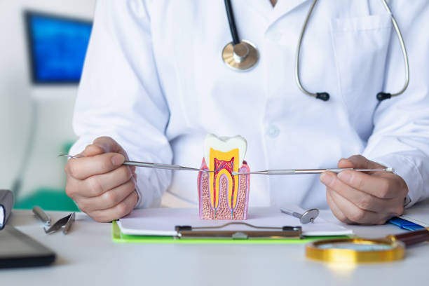 Best Emergency Dental Care for Abscessed Tooth in San Antonio Heights, CA